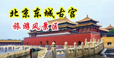 插插美逼258中国北京-东城古宫旅游风景区